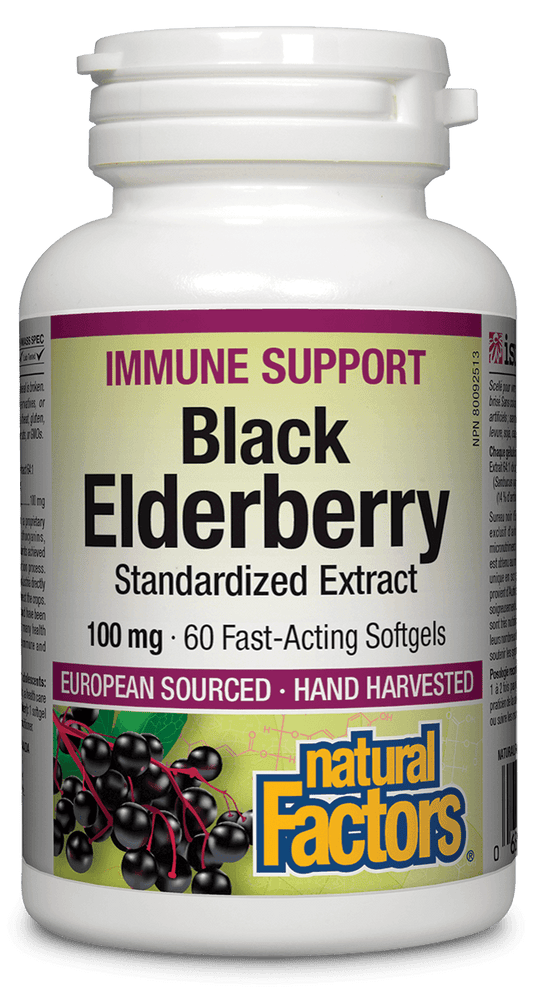 Natural Factors Sambucus Black Elderberry 100 mg 60 Softgels - Wellness Supplement