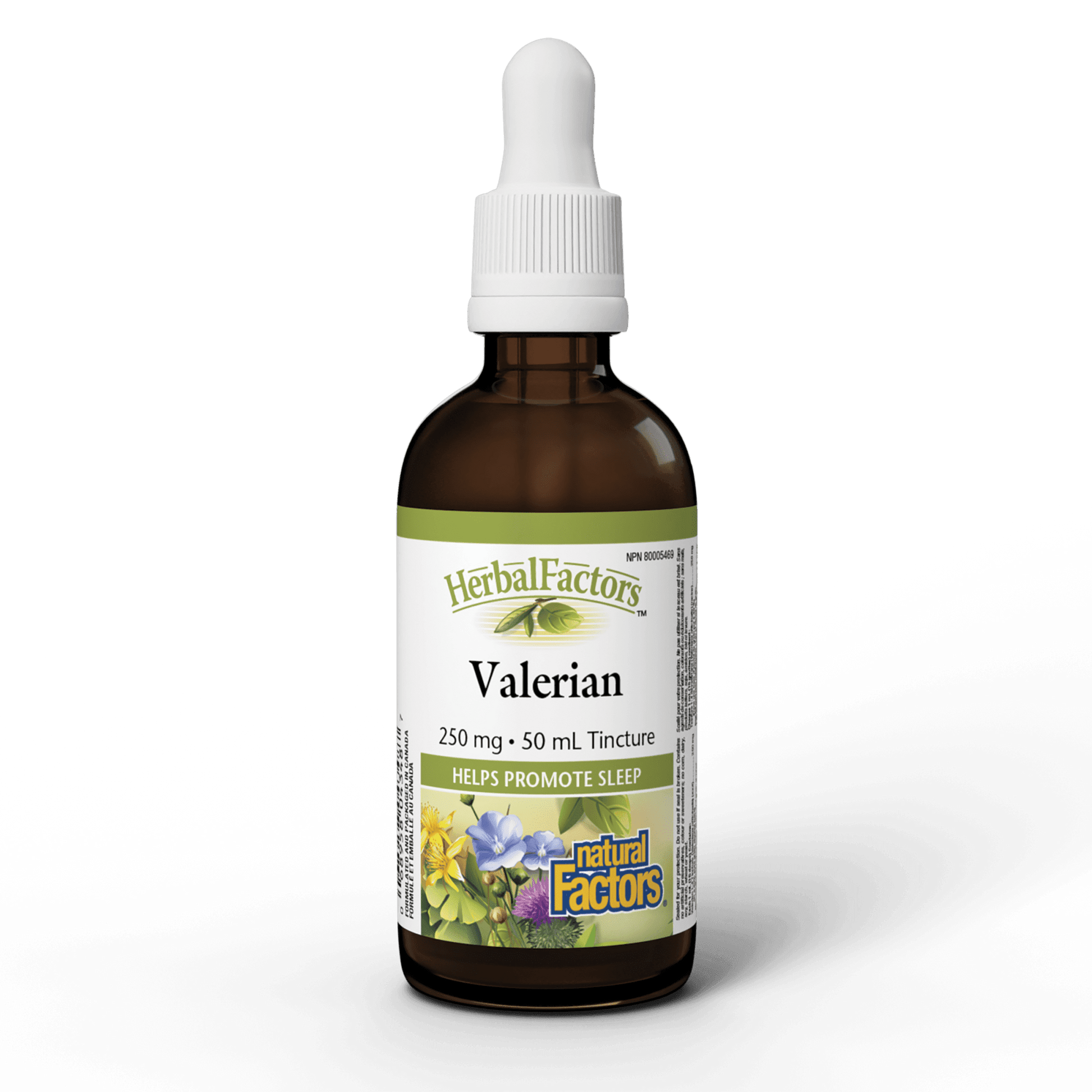 Natural Factors Valerian 250 mg 50mL - Wellness Supplement