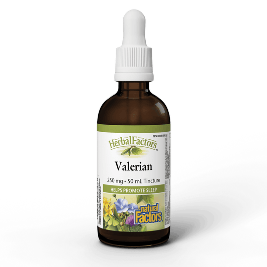 Natural Factors Valerian 250 mg 50mL - Wellness Supplement
