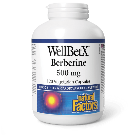 Natural Factors WellBetX Berberine 500 mg 120 Veg Capsules 