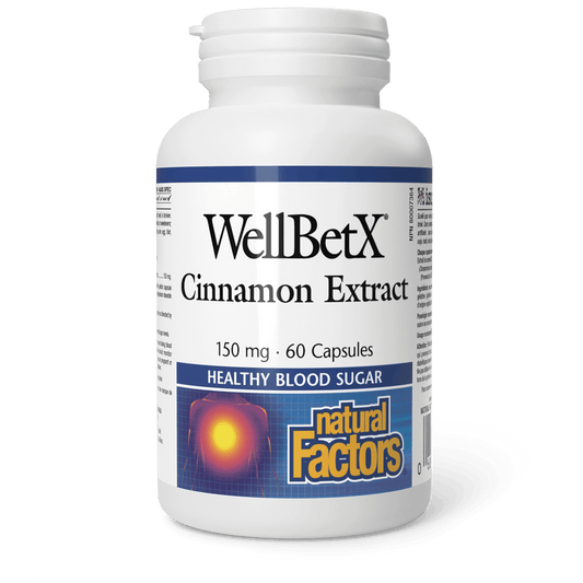 Natural Factors WellBetX Cinnamon Extract 150 mg 60 Capsules - Wellness Supplement