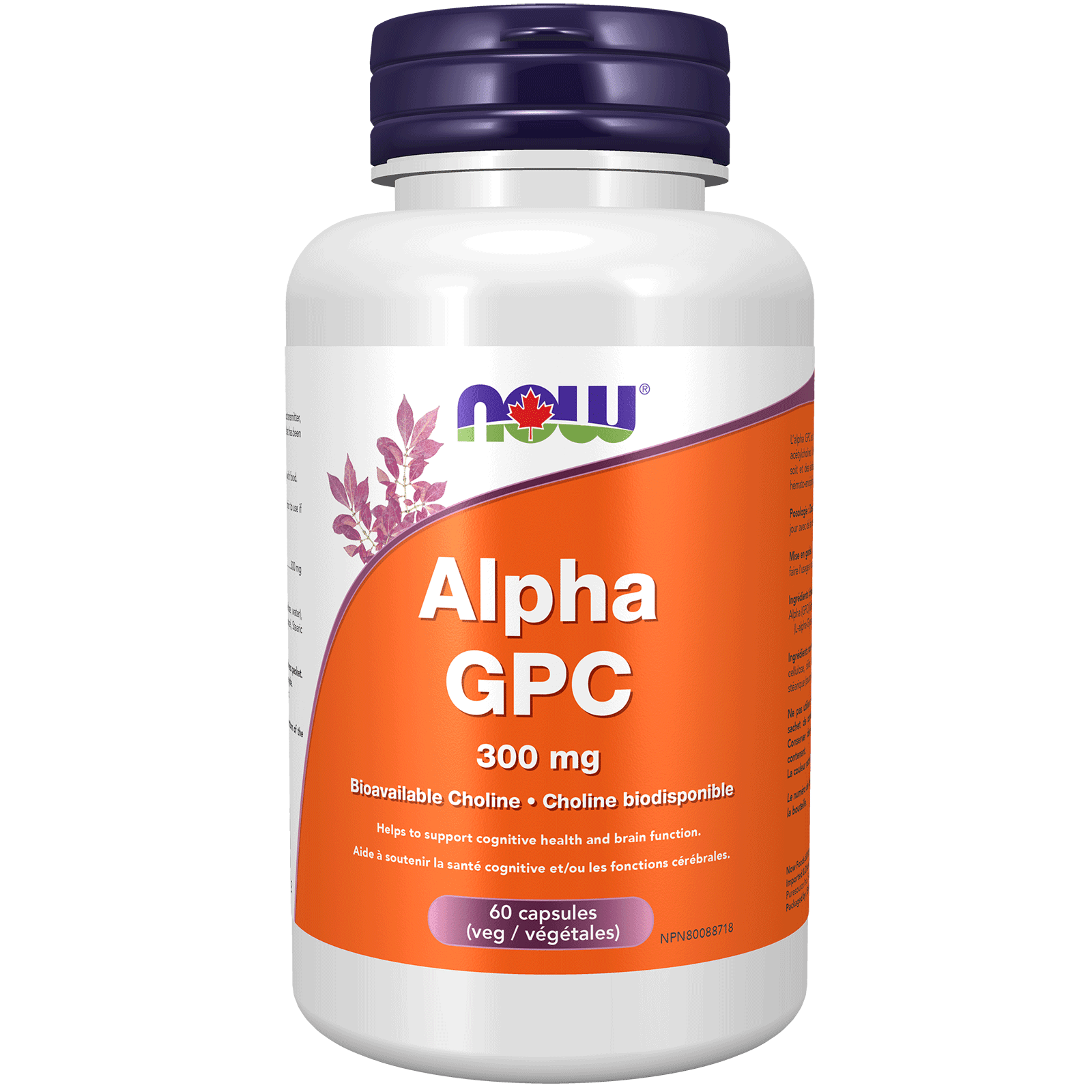 NOW Alpha GPC (Bioavailable Choline) 300mg 60 Veg Capsules - 