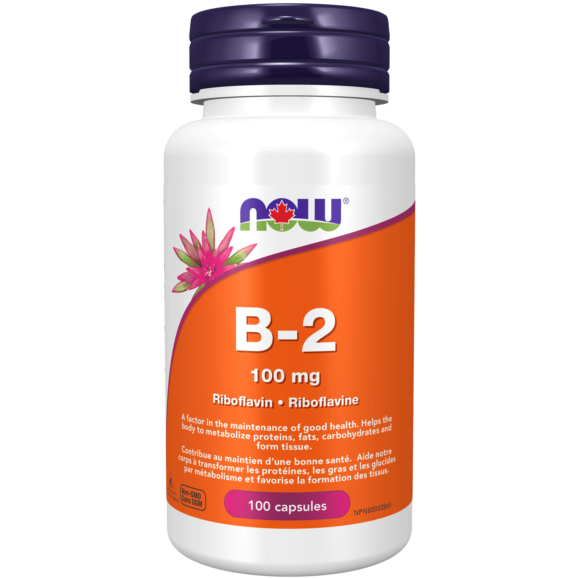 NOW B-2 100mg 100 Capsules - 