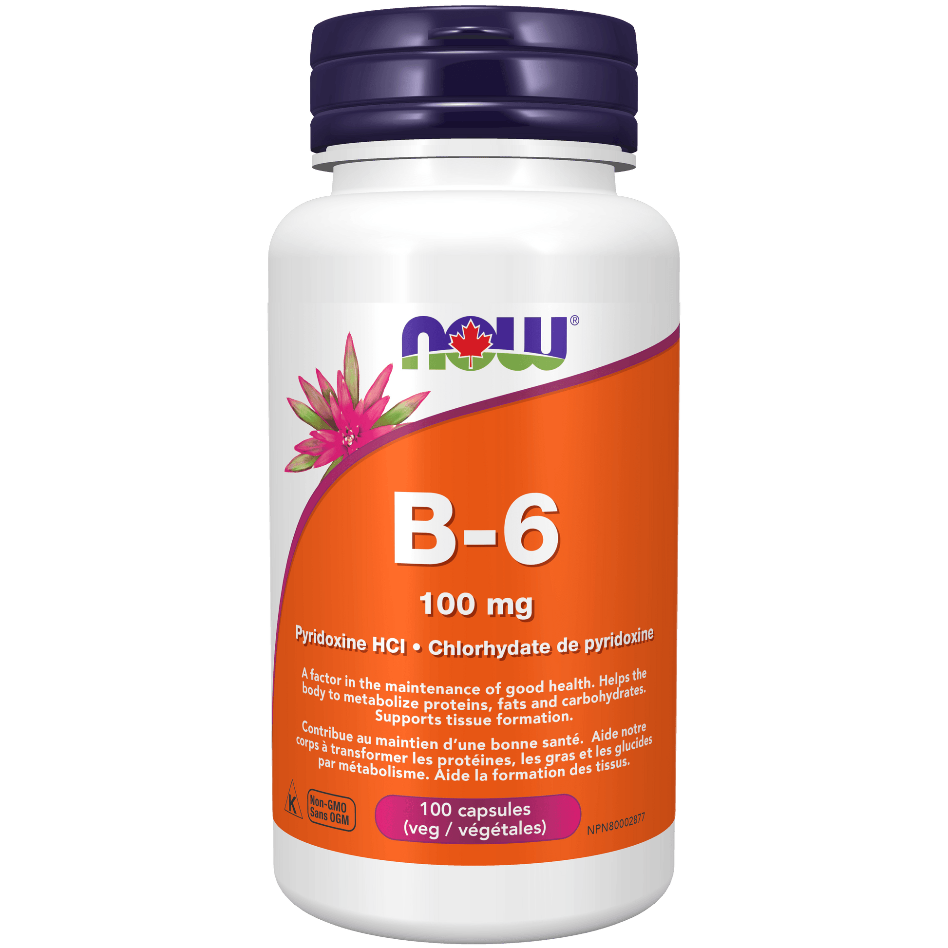 NOW B-6 100mg 100 Capsules - 