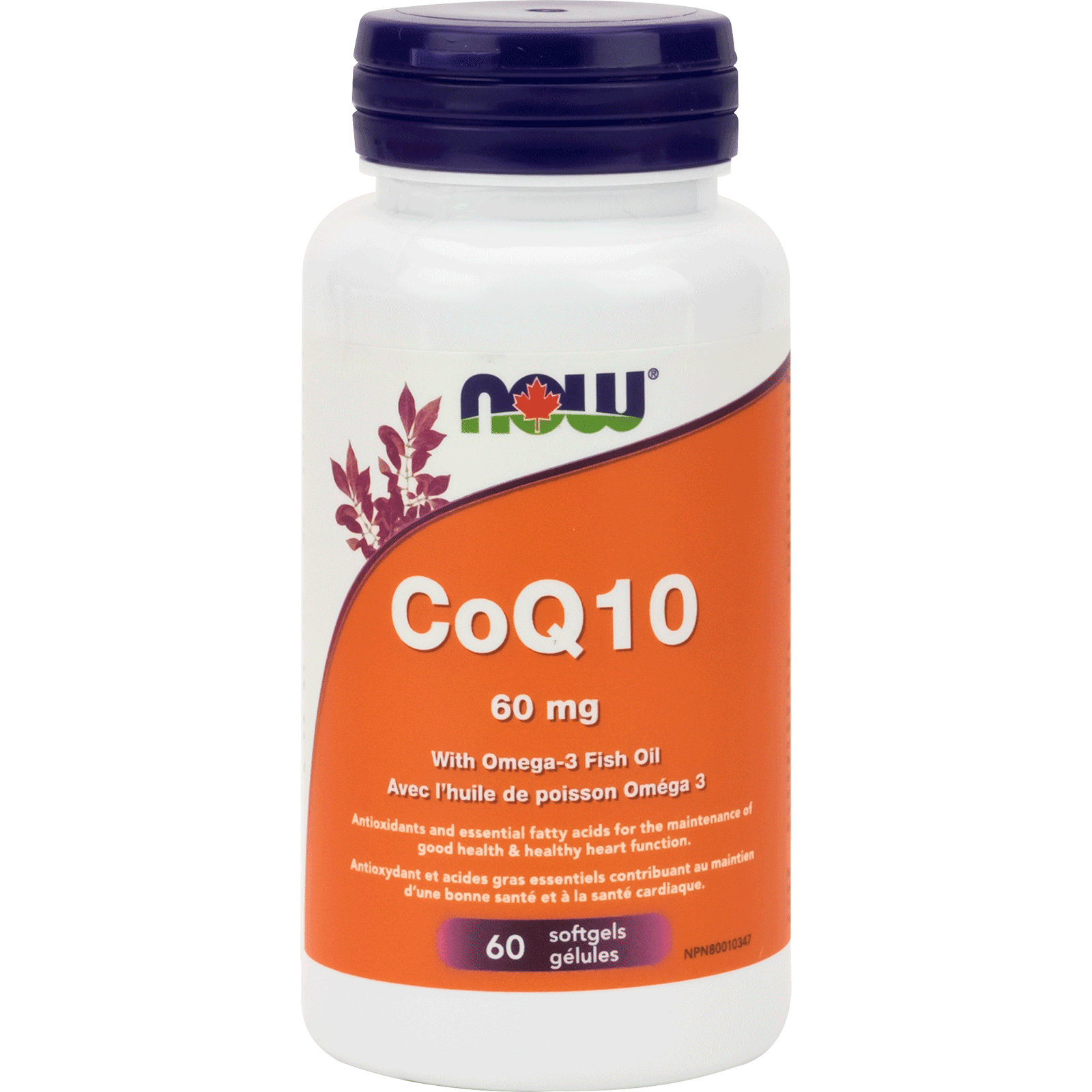 NOW CoQ10 60mg with Lecithin Fish Oil 60 Softgels - 