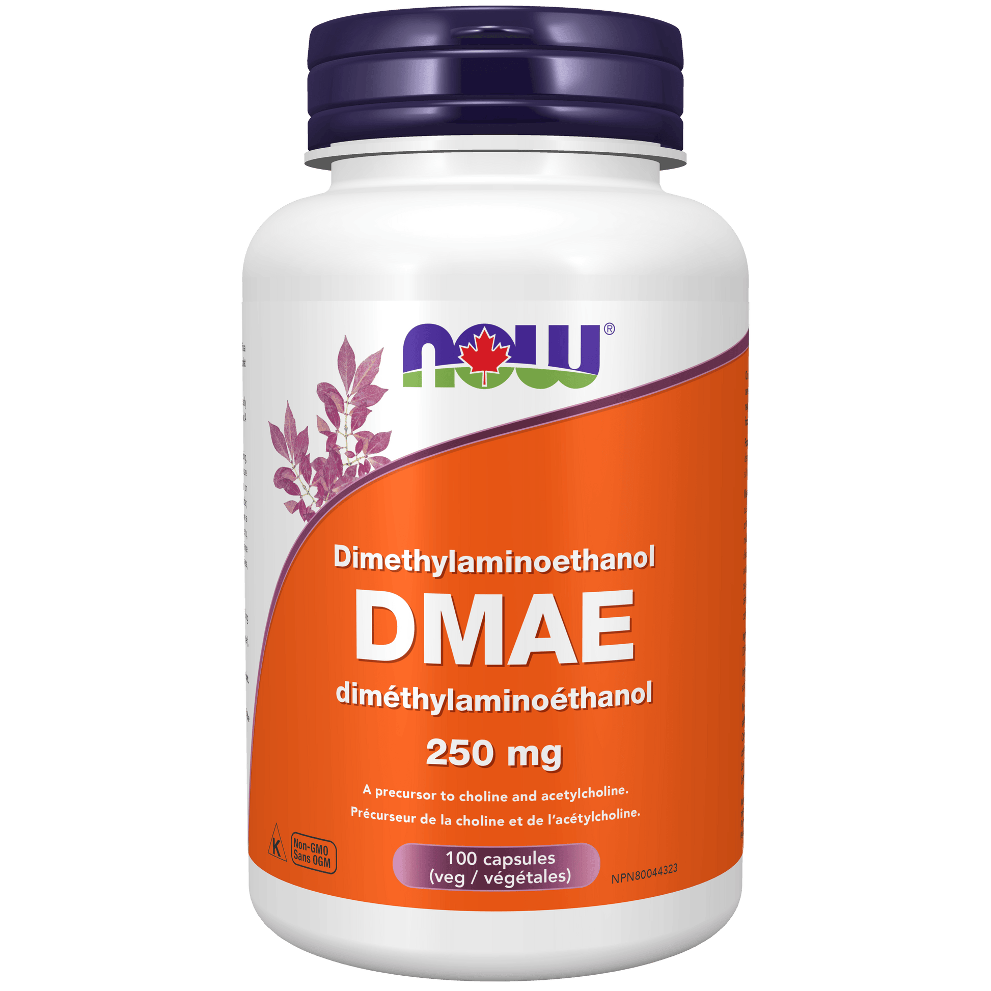 NOW DMAE 250mg 100 Veg Capsules - 