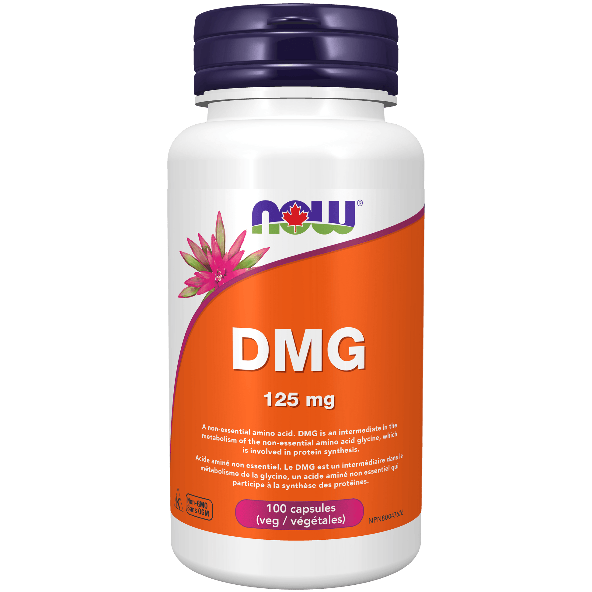 NOW DMG (Dimethylglycine) 125mg 100 Veg Capsules - 