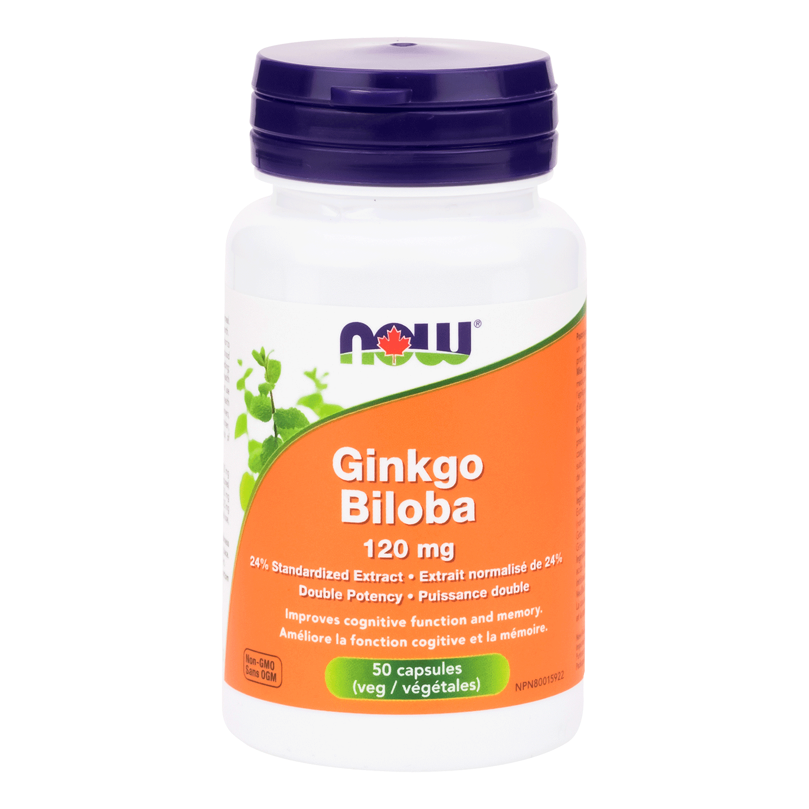 NOW Ginkgo Biloba 120mg 50 Veg Capsules - 