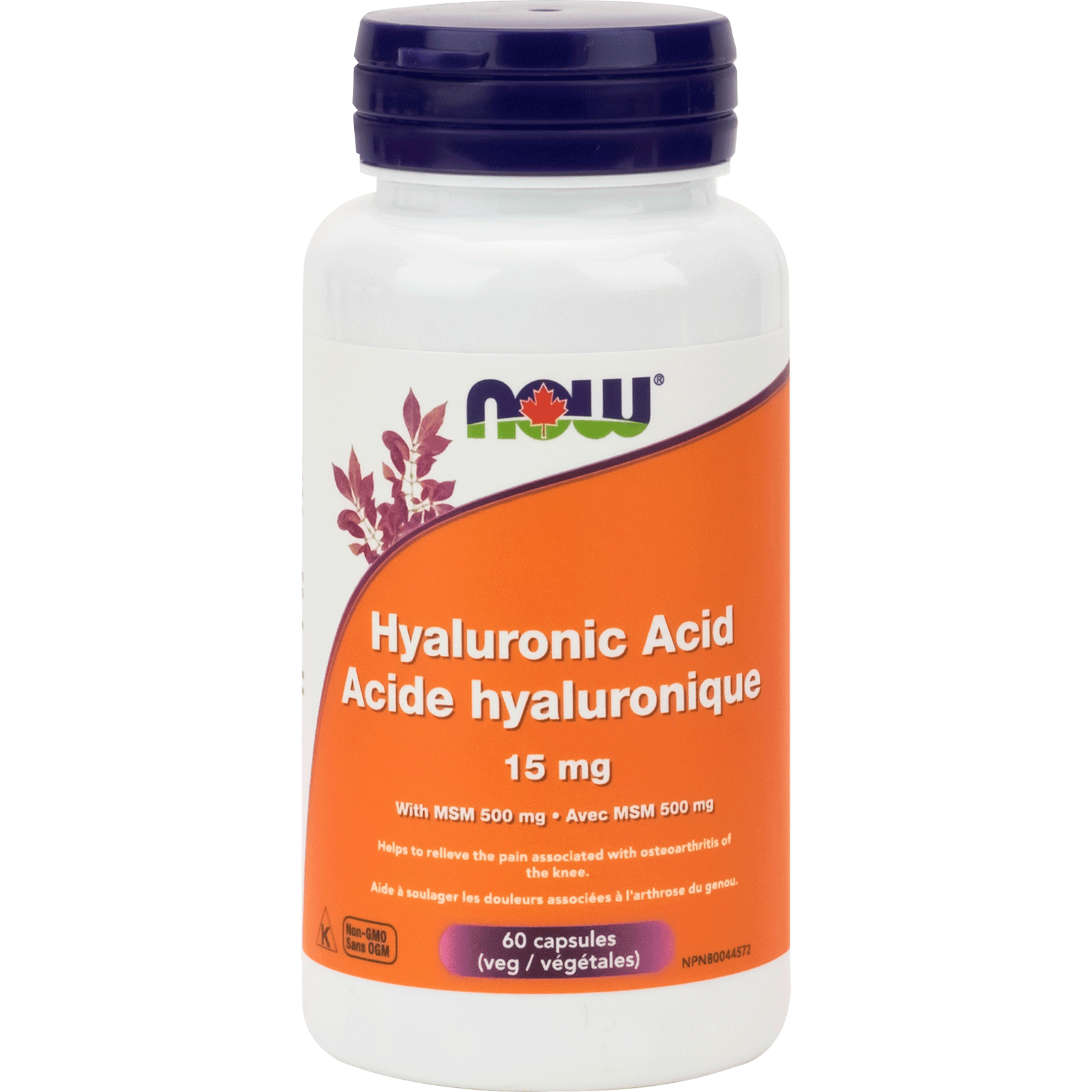 NOW Hyaluronic Acid 15mg 60 Veg Capsules - 