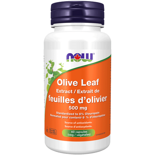 NOW Olive Leaf Extract 500mg 60 Veg Capsules - 