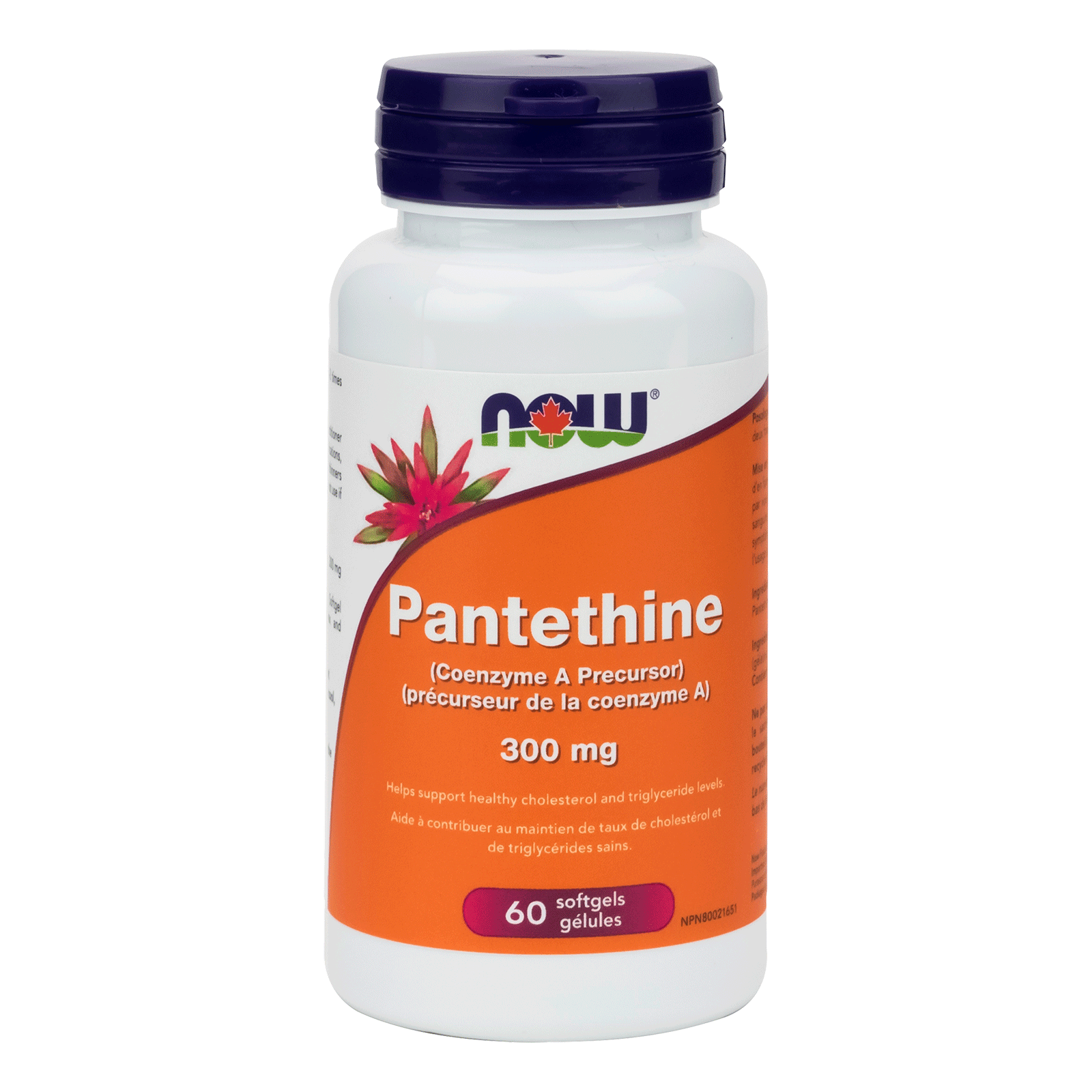 NOW Pantethine 300mg 60 Softgels - 