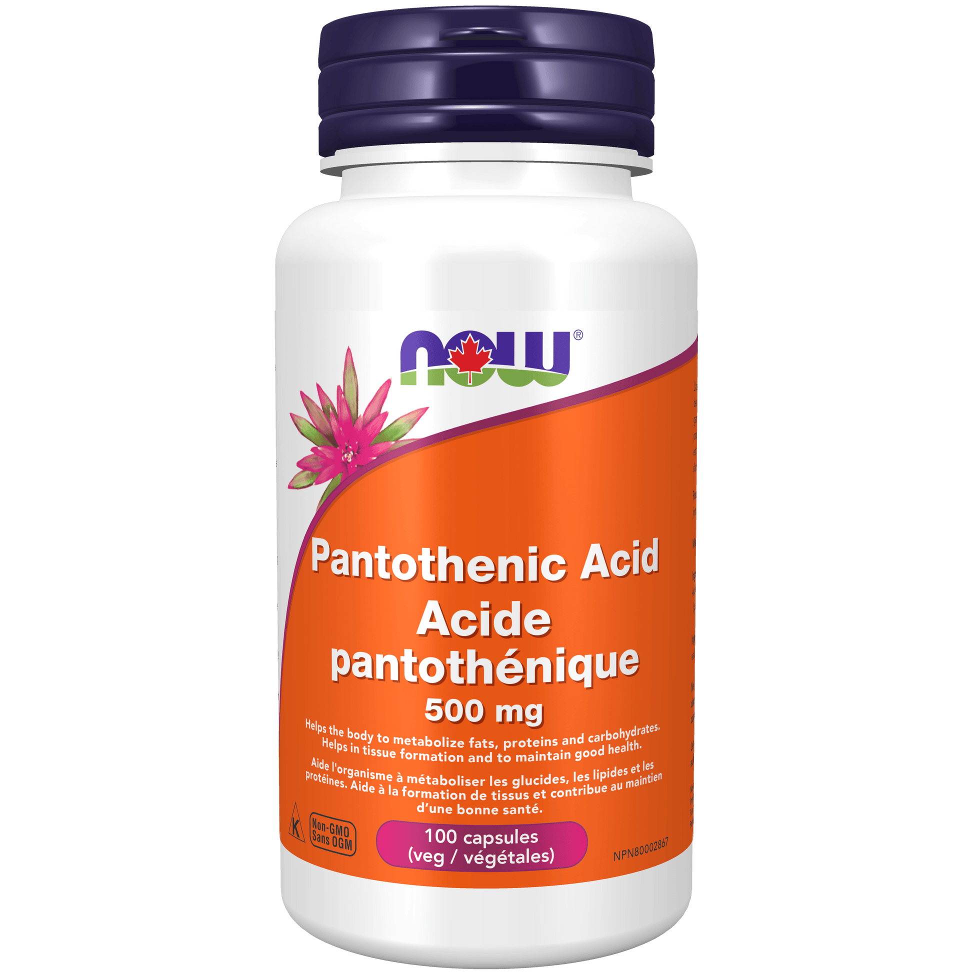 NOW Pantothenic Acid 500mg 100 Capsules - 