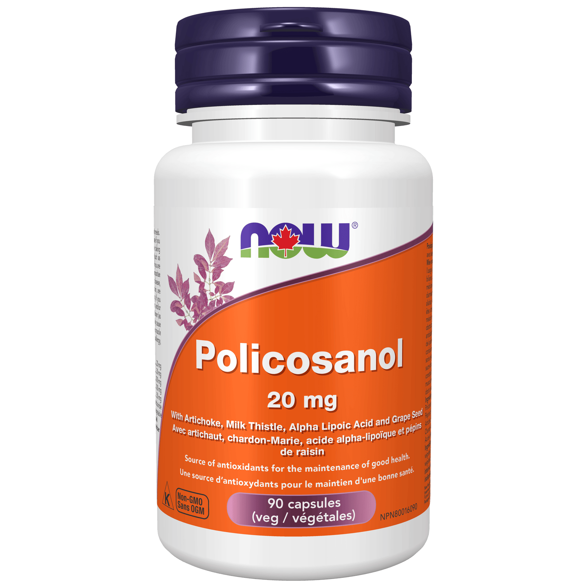 NOW Policosanol 20mg + ALA & Artichoke 90 Veg Capsules - 