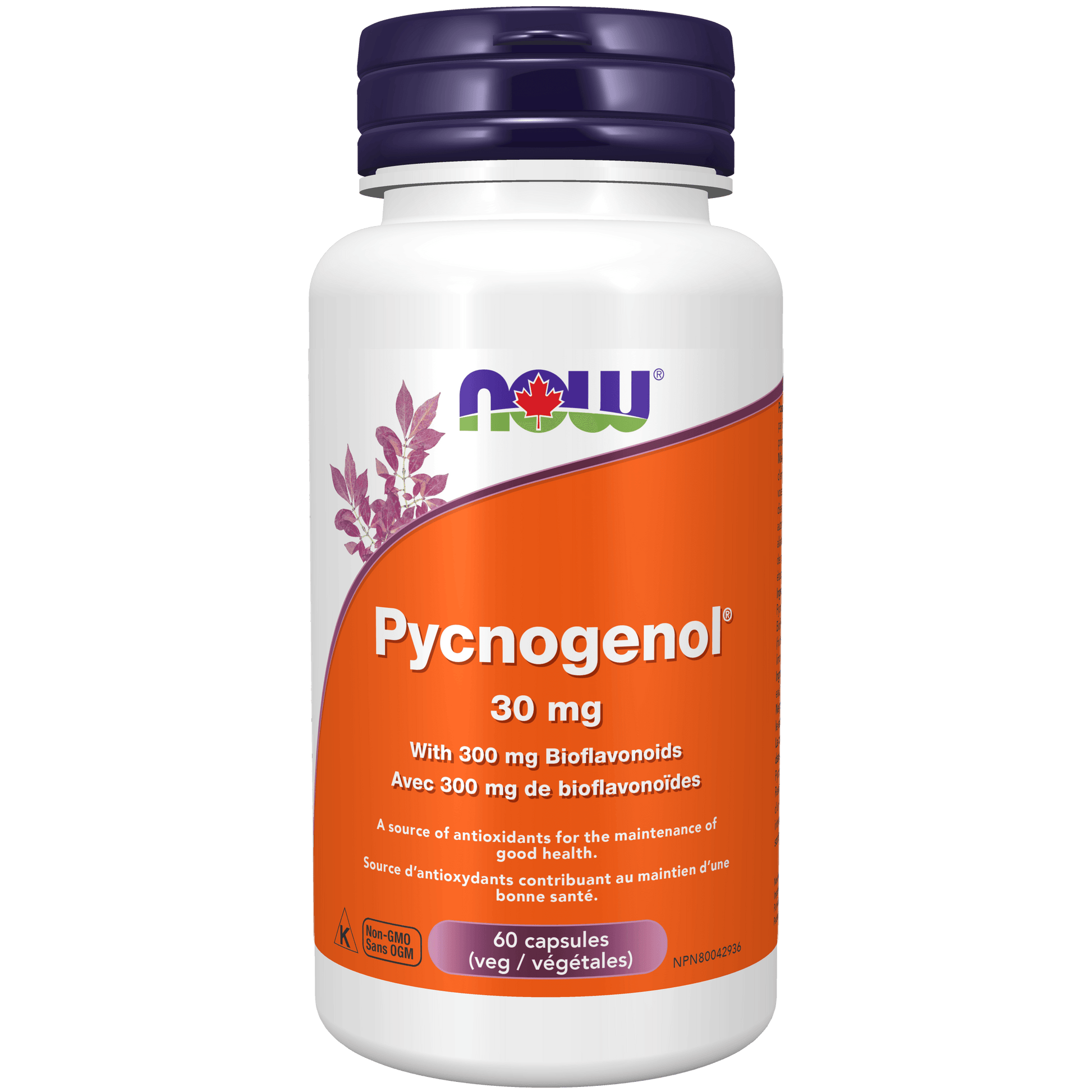 NOW Pycnogenol 30mg with Bioflavonoids 60 Veg Capsules - 