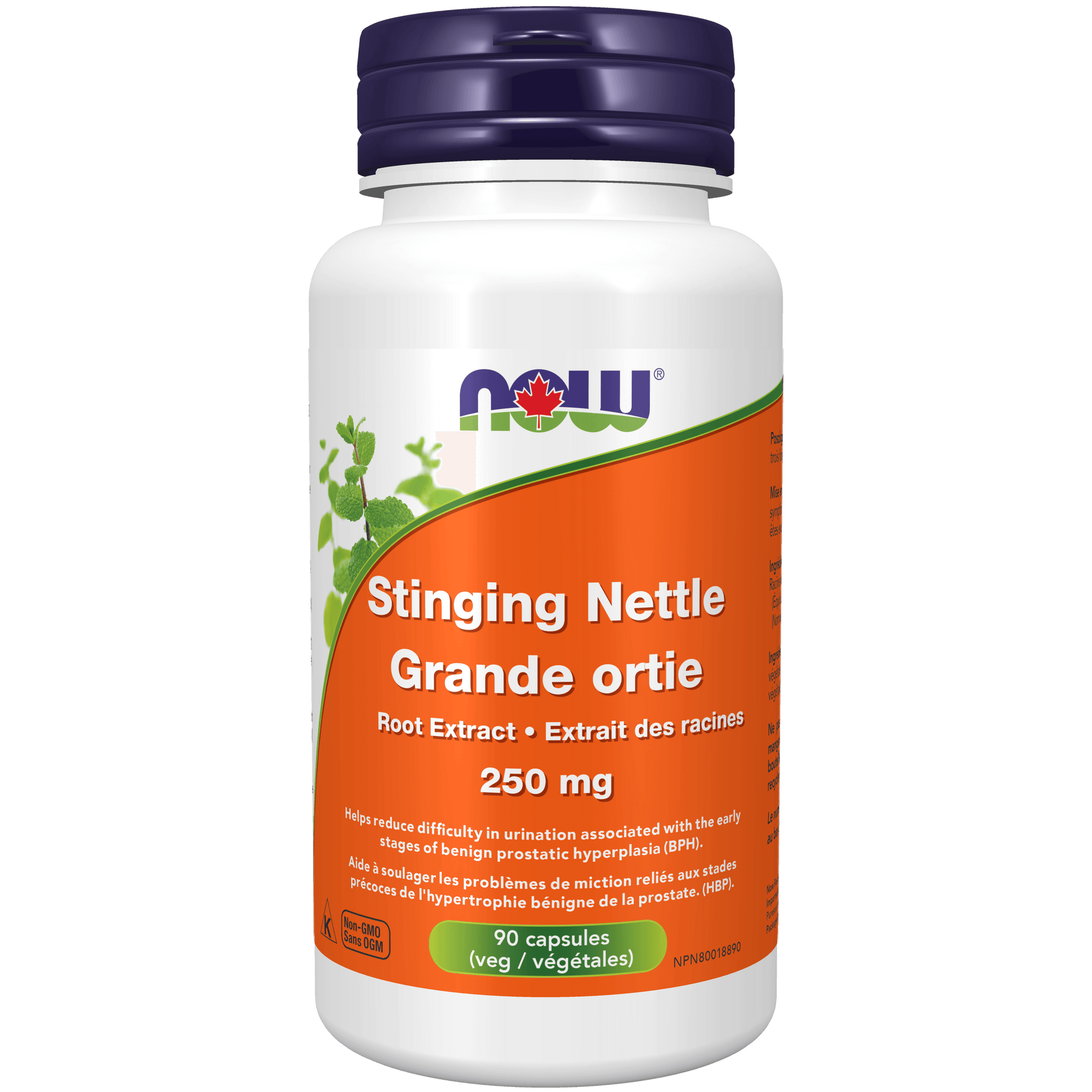 NOW Stinging Nettle Root Extract 250mg 90 Veg Capsules - 