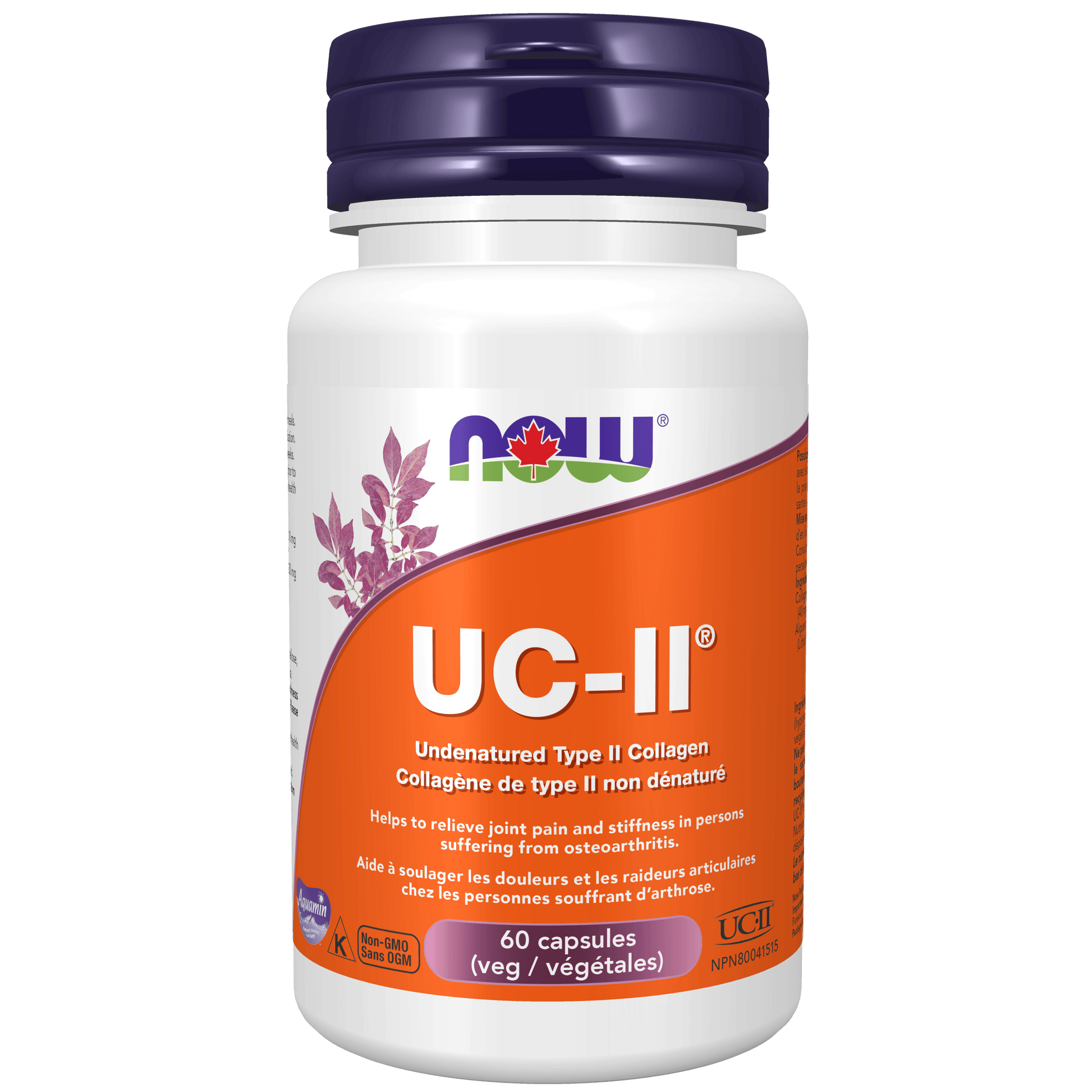 NOW UC-II Undenatured Collagen 40mg 60 Veg Capsules - 