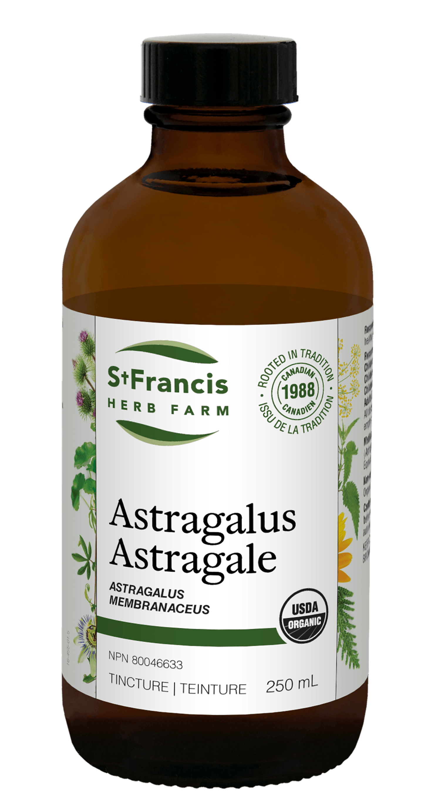 St. Francis Astragalus 250mL 