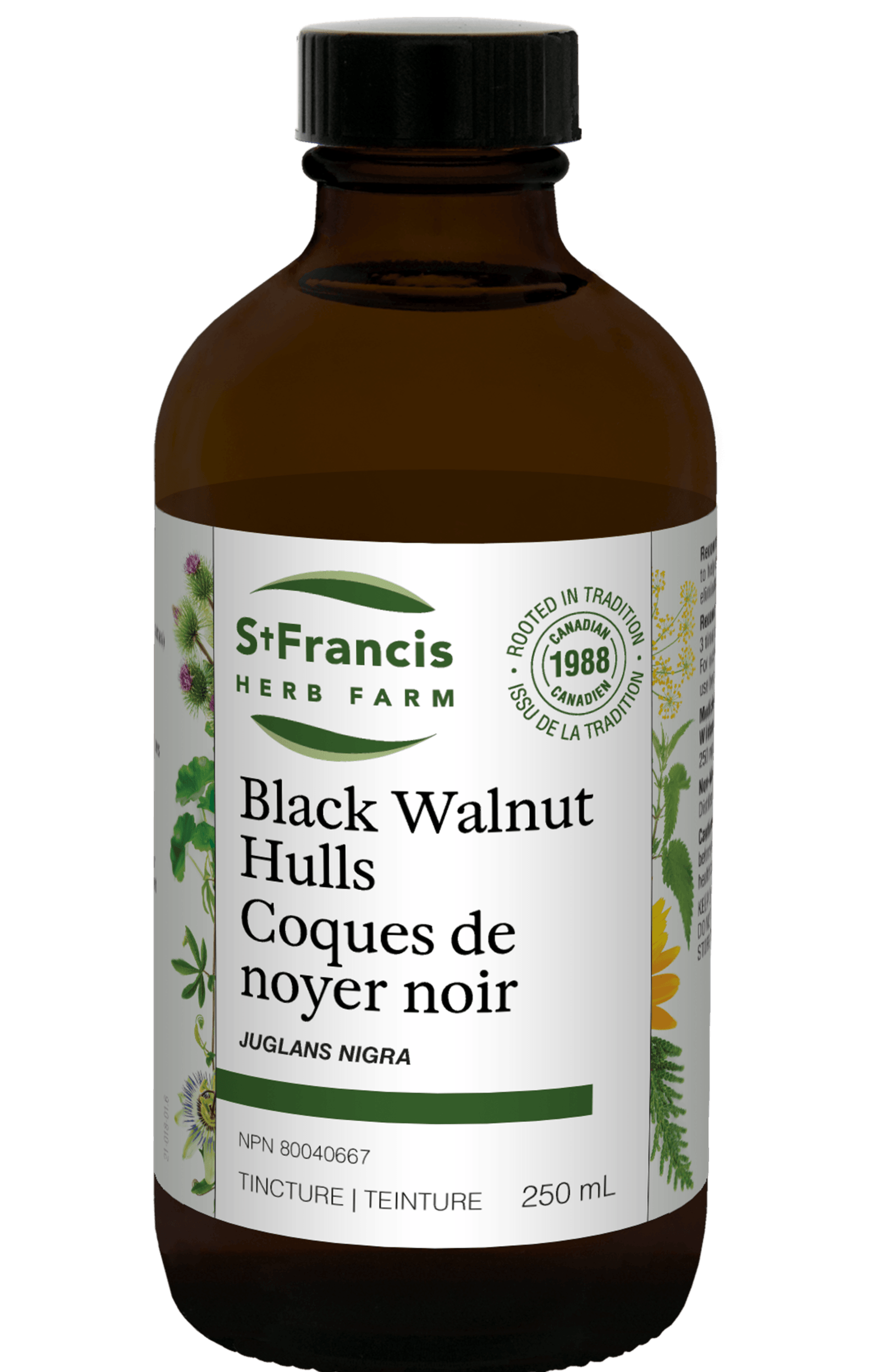 St. Francis Black Walnut Hulls 250mL
