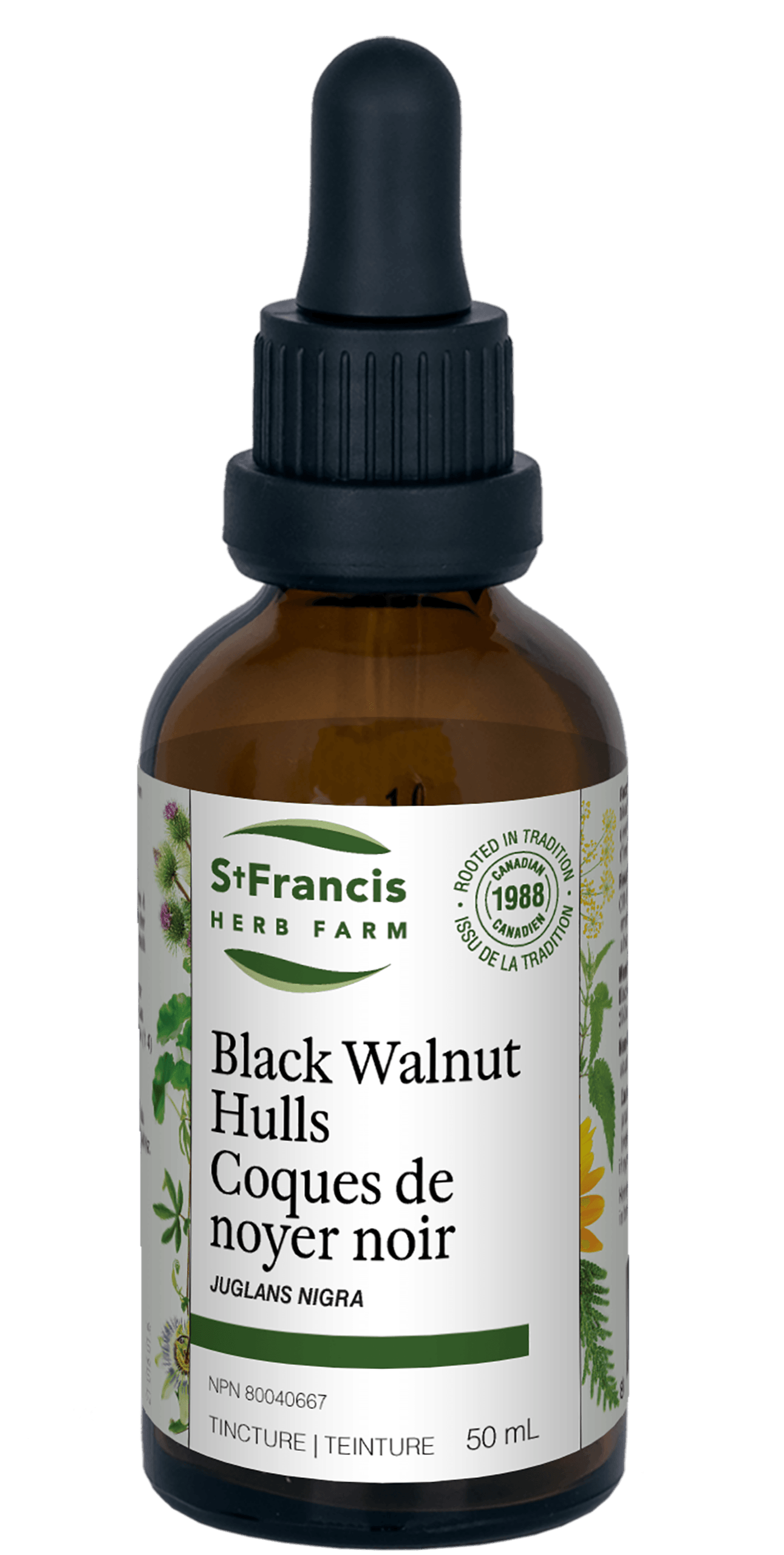 St. Francis Black Walnut Hulls 50mL