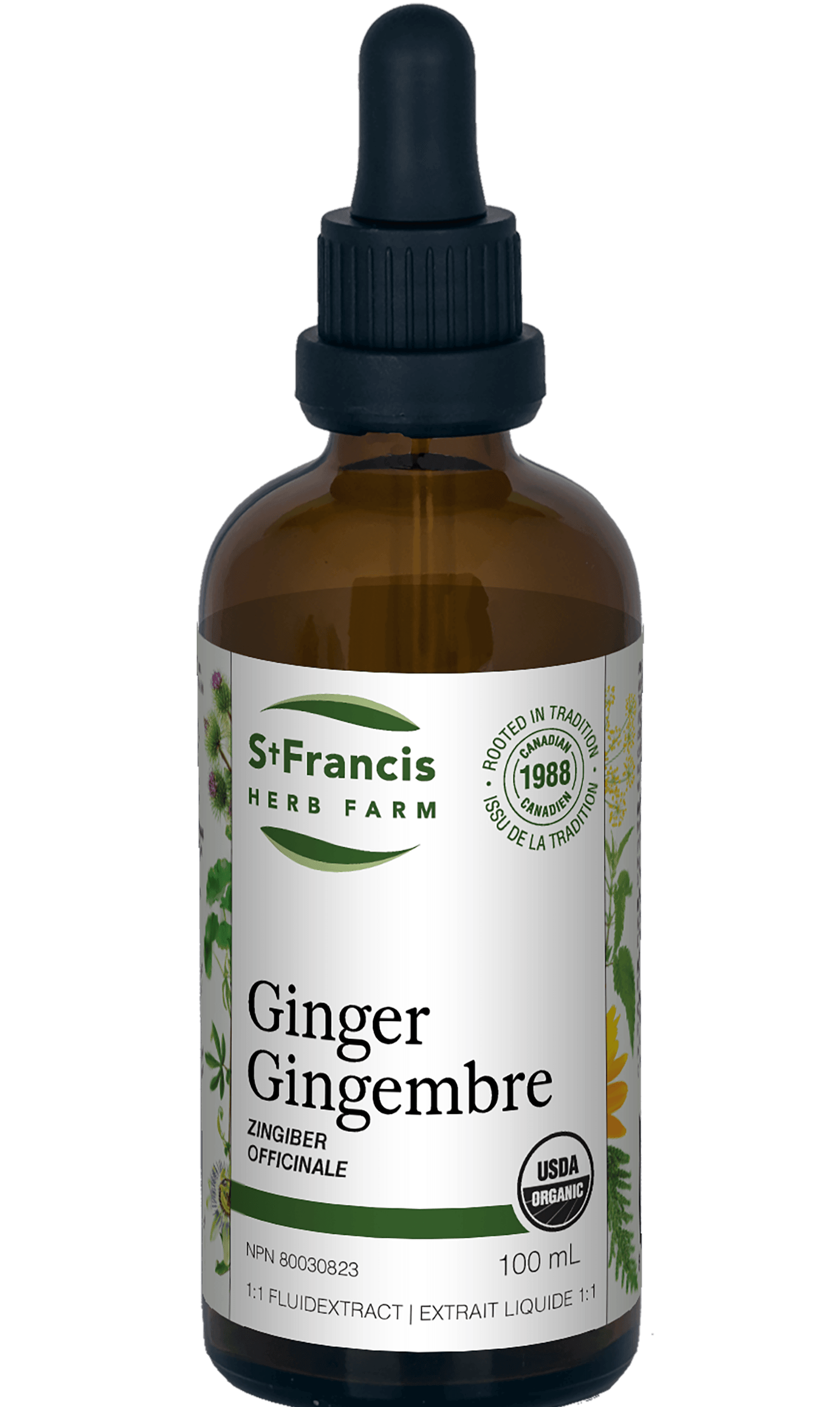 St. Francis Ginger 1:1 FluidExtract 100mL