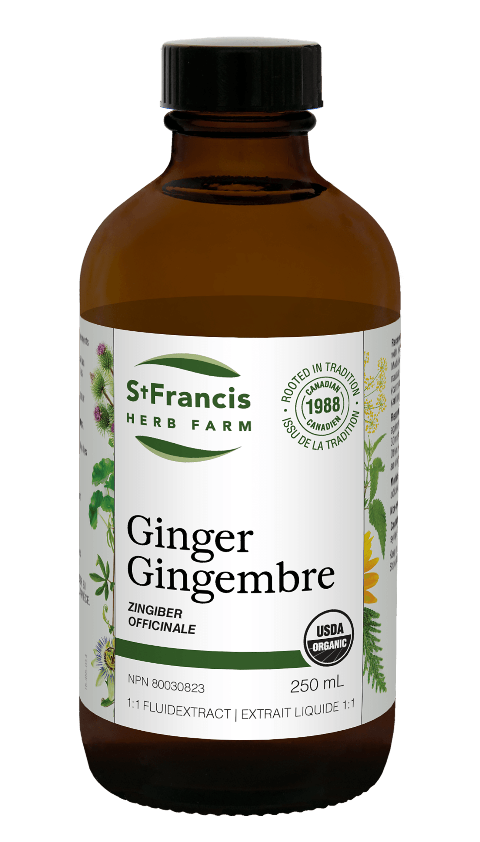 St. Francis Ginger 1:1 FluidExtract 250mL