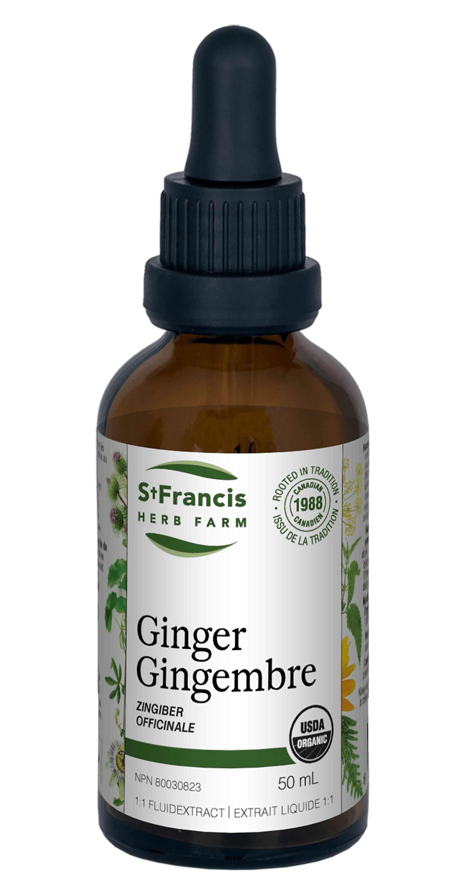 St. Francis Ginger 1:1 FluidExtract 50mL