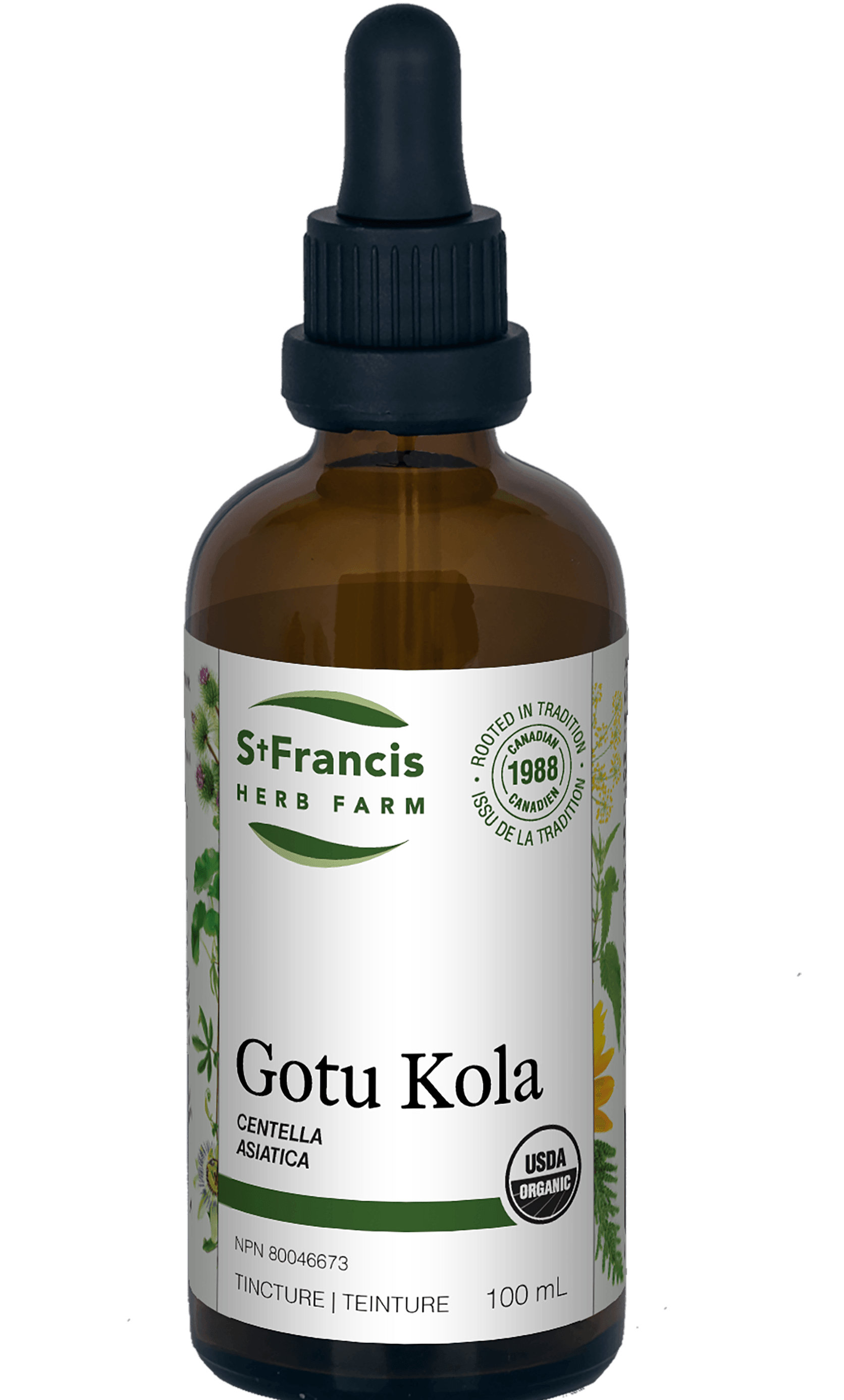 St. Francis Gotu Kola 100mL