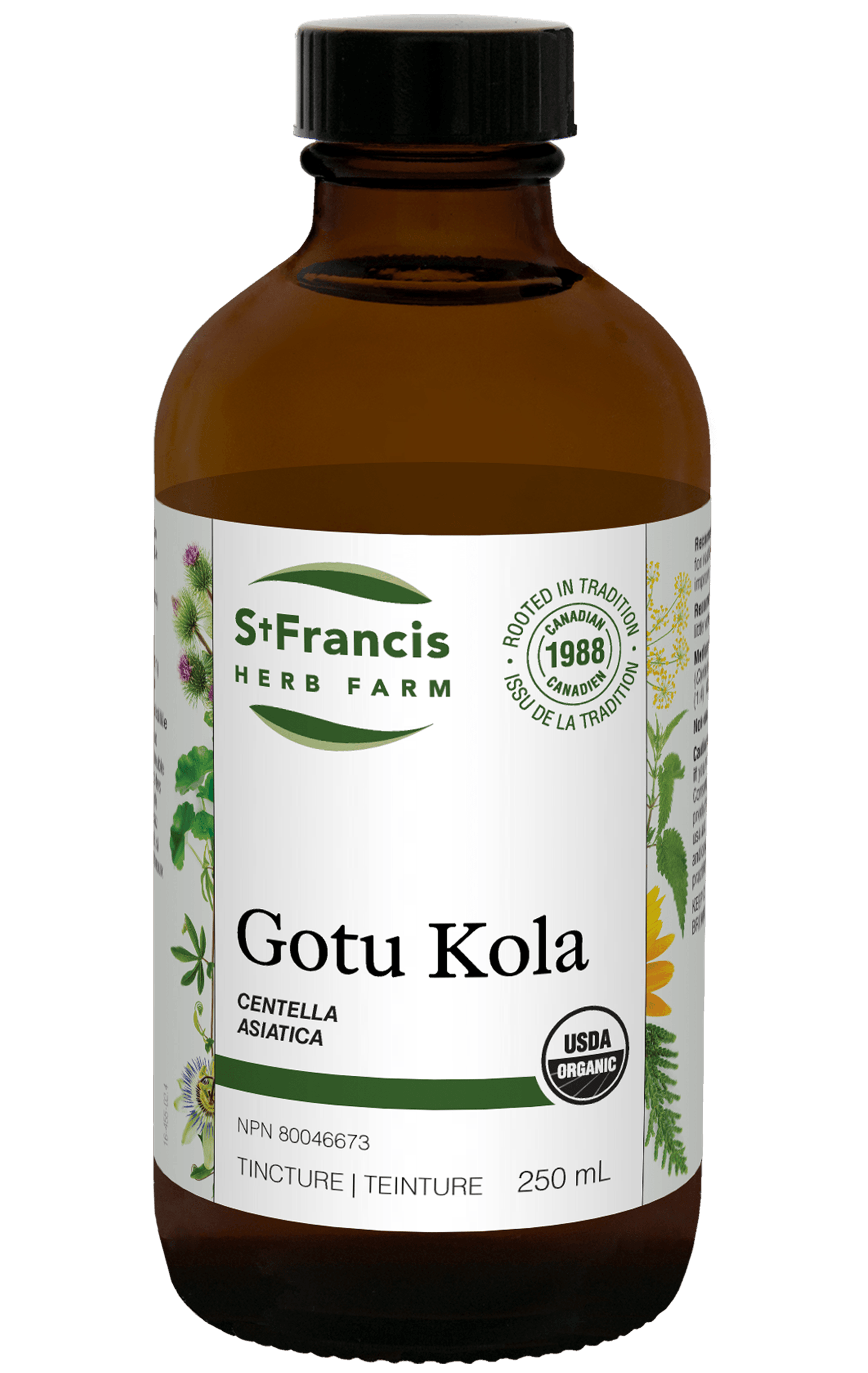 St. Francis Gotu Kola 250mL
