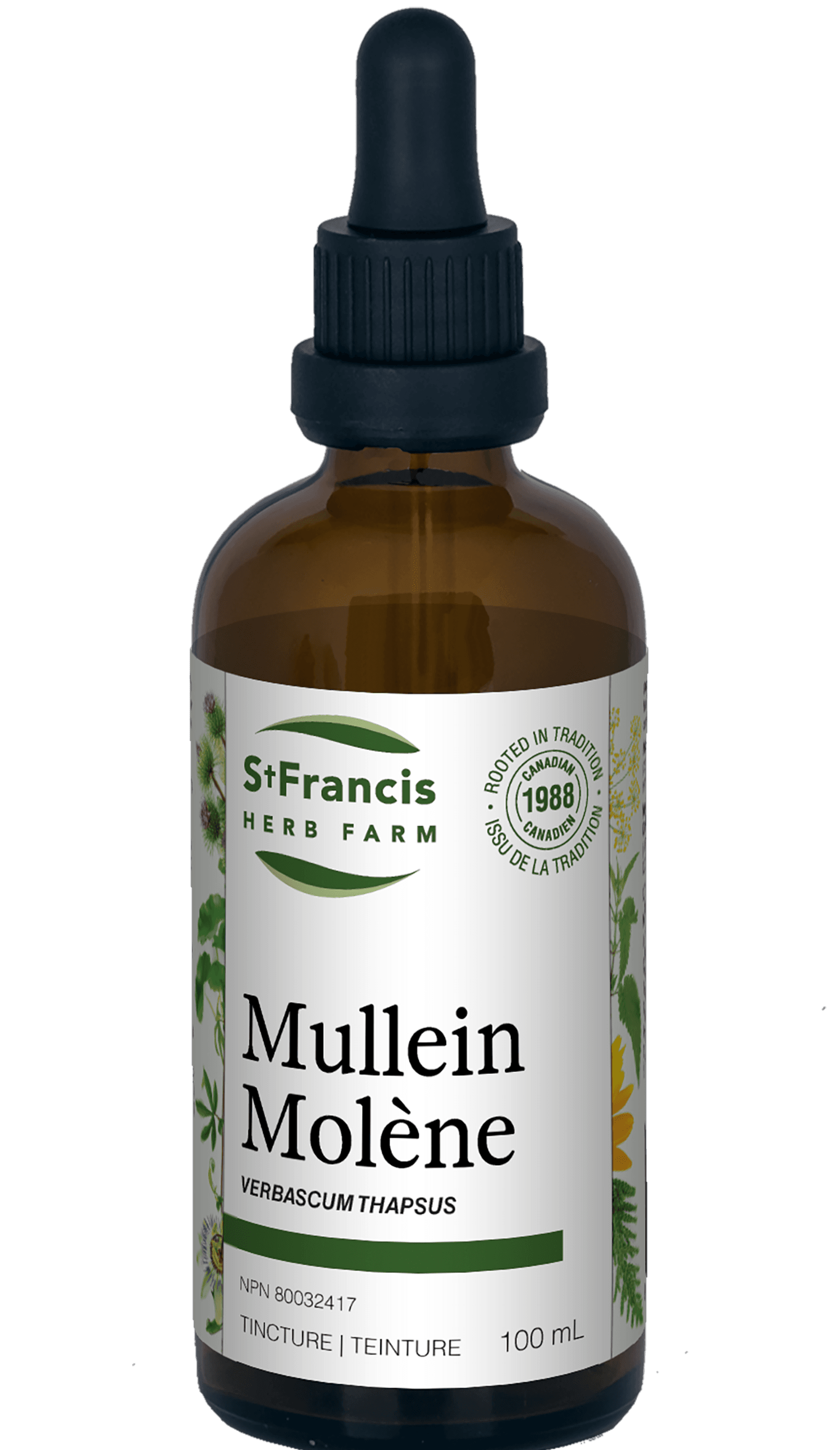 St. Francis Mullein 100mL