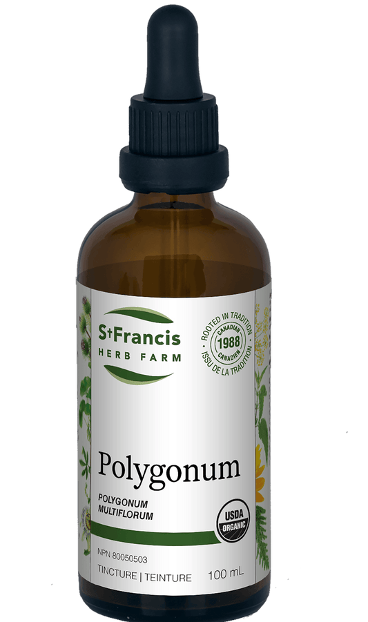 St. Francis Polygonum 100mL