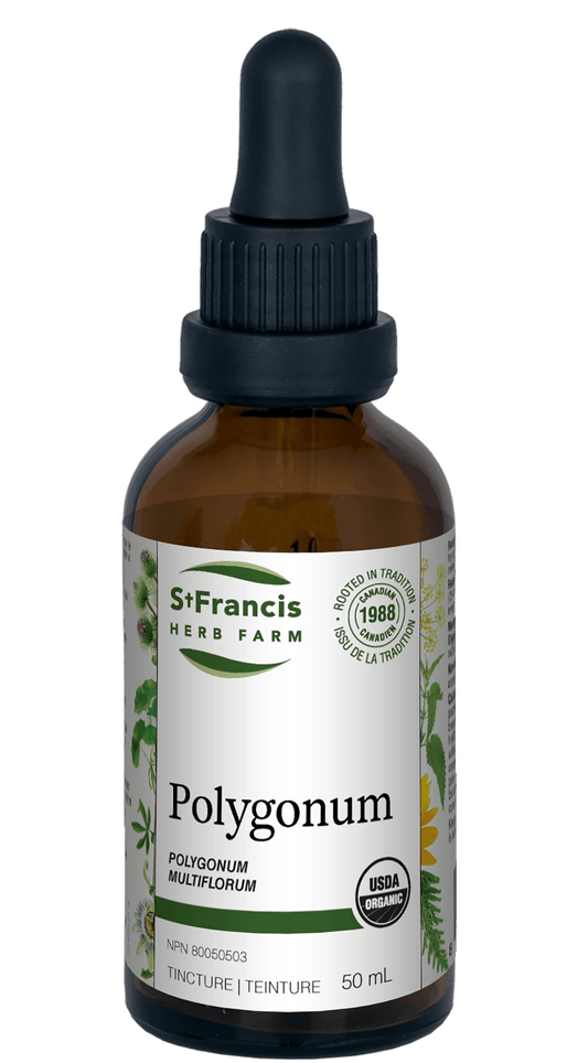 St. Francis Polygonum 50mL