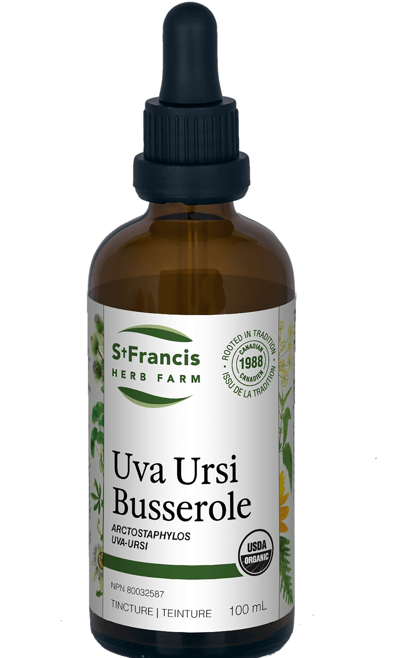 St. Francis Uva Ursi 100mL