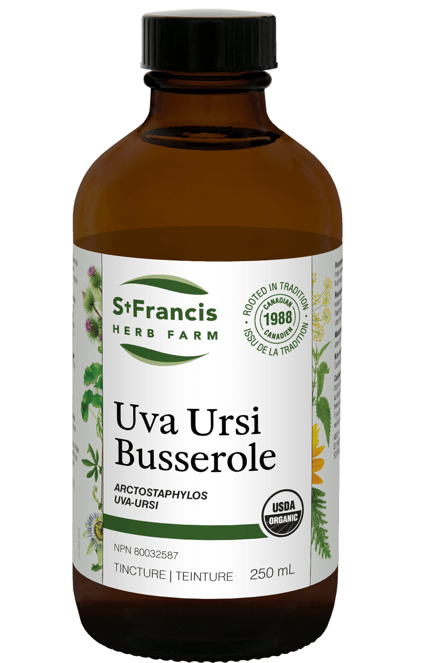 St. Francis Uva Ursi 250mL